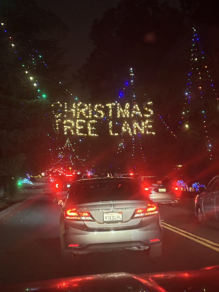Christmastreelane 1 768x1024