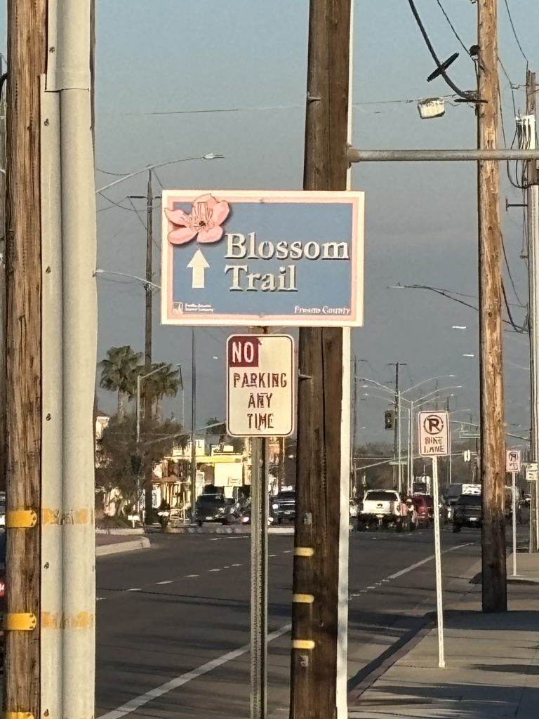 blossom trail 1 1 768x1024